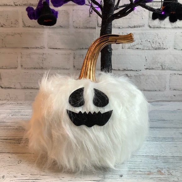 White Furry Pumpkin - Picture 2 of 6